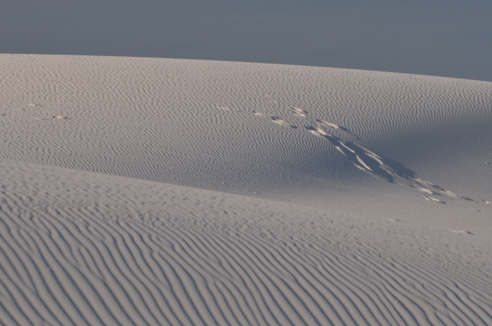 White Sands dunes